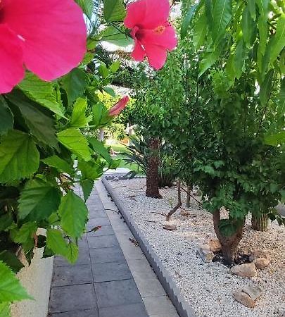 Estudio De Lujo Torrevieja Ngoại thất bức ảnh