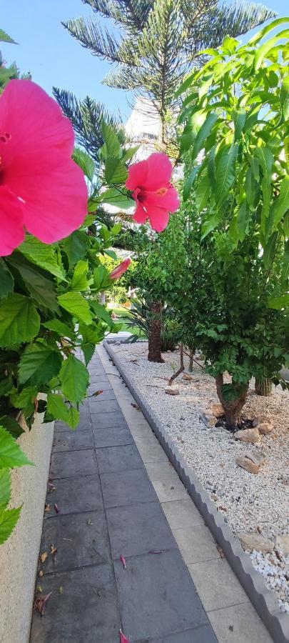 Estudio De Lujo Torrevieja Ngoại thất bức ảnh